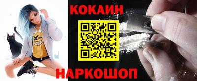 гидропоника Будённовск