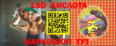 гидропоника Будённовск